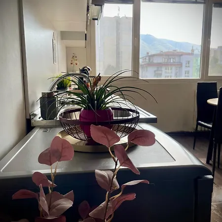 Cozy Free Parking Wi-fi Netflix Apartment